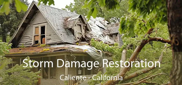 Storm Damage Restoration Caliente - California