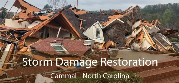 Storm Damage Restoration Cammal - North Carolina