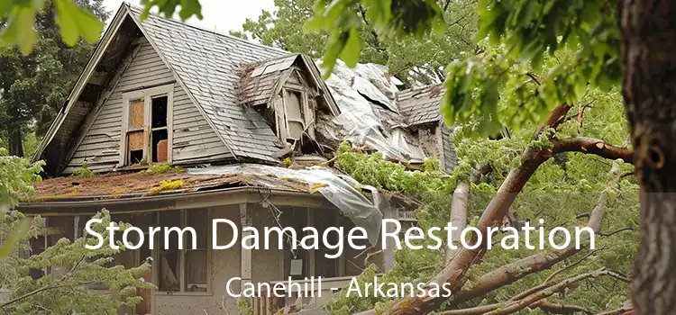 Storm Damage Restoration Canehill - Arkansas