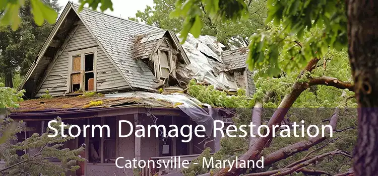 Storm Damage Restoration Catonsville - Maryland