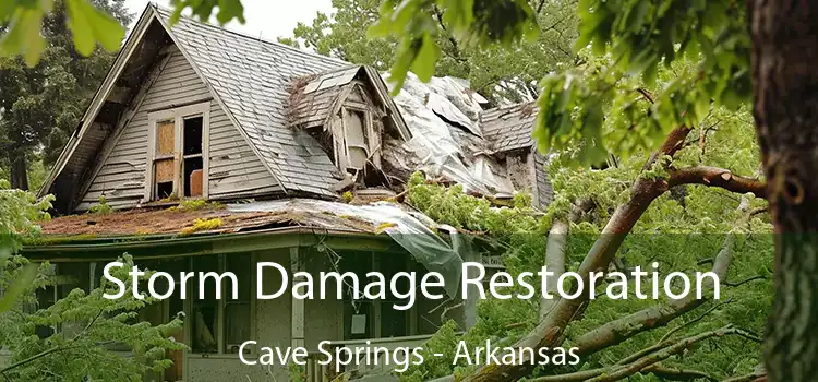 Storm Damage Restoration Cave Springs - Arkansas