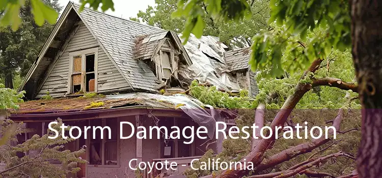 Storm Damage Restoration Coyote - California