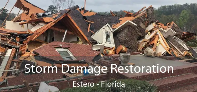 Storm Damage Restoration Estero - Florida