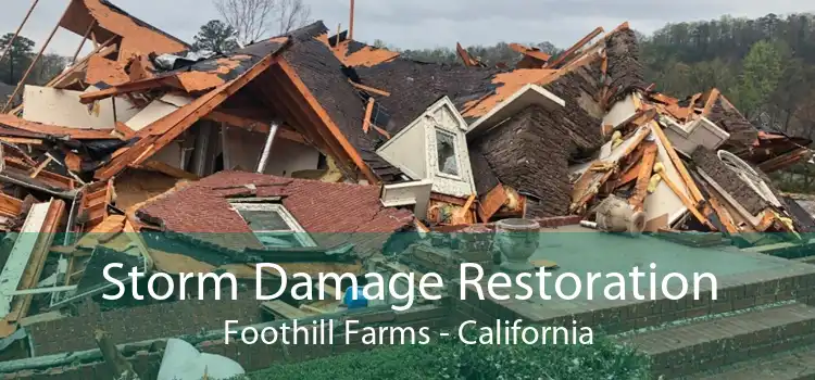 Storm Damage Restoration Foothill Farms - California
