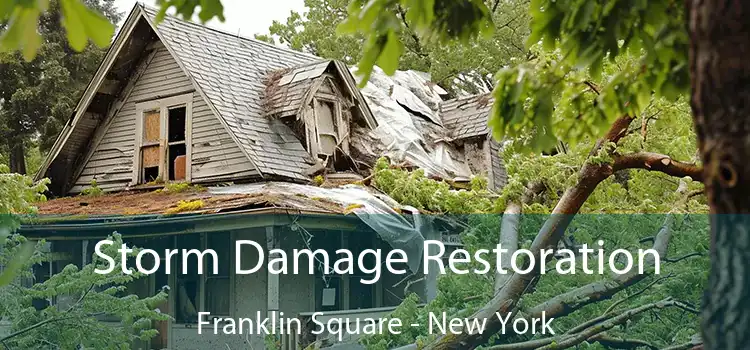 Storm Damage Restoration Franklin Square - New York