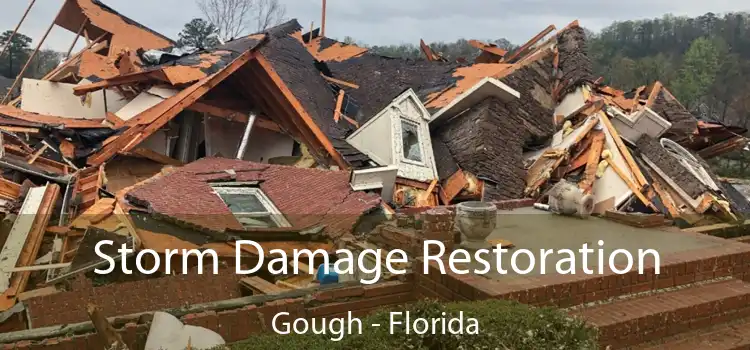 Storm Damage Restoration Gough - Florida