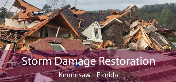 Storm Damage Restoration Kennesaw - Florida