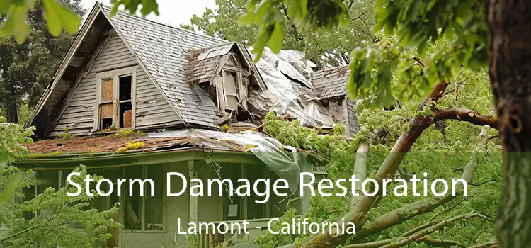 Storm Damage Restoration Lamont - California