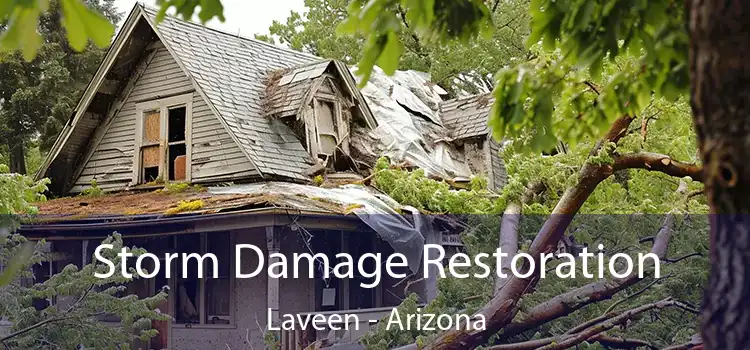 Storm Damage Restoration Laveen - Arizona