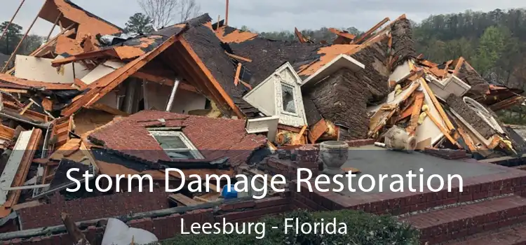 Storm Damage Restoration Leesburg - Florida