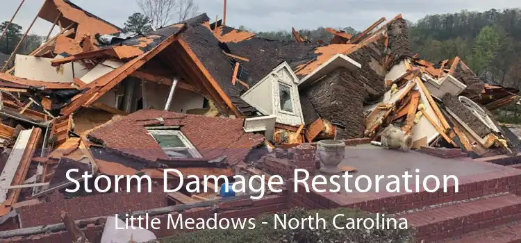 Storm Damage Restoration Little Meadows - North Carolina