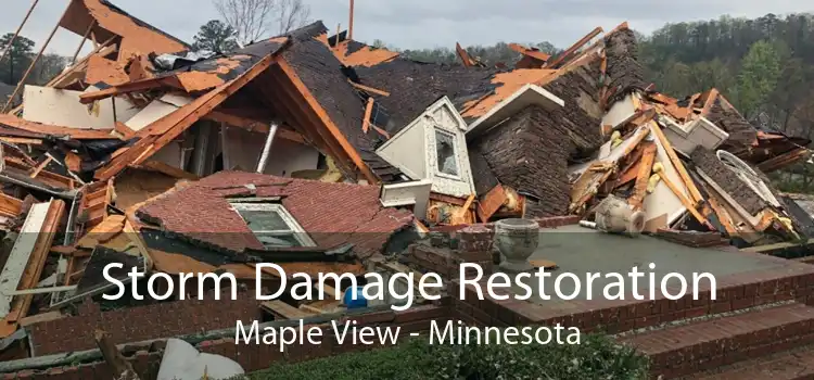 Storm Damage Restoration Maple View - Minnesota