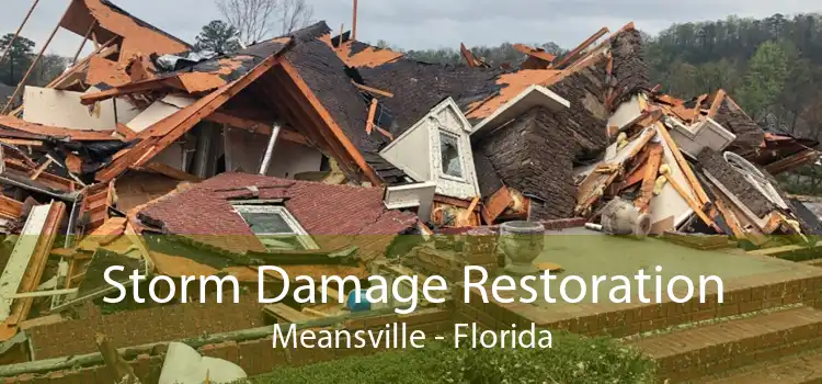 Storm Damage Restoration Meansville - Florida