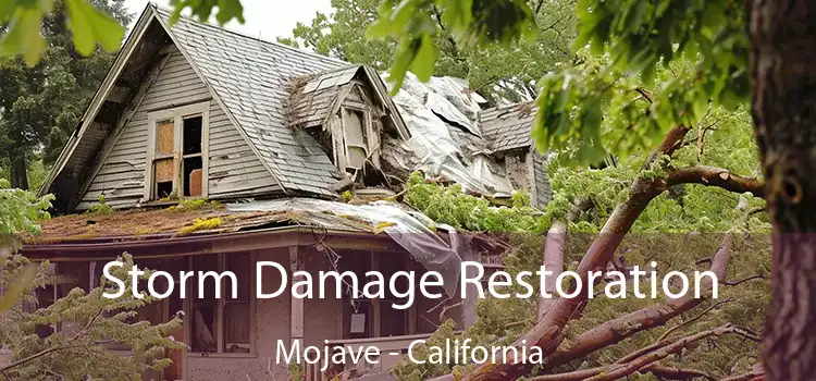 Storm Damage Restoration Mojave - California