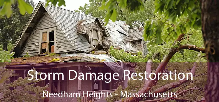 Storm Damage Restoration Needham Heights - Massachusetts