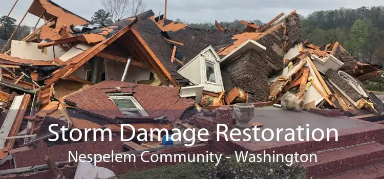 Storm Damage Restoration Nespelem Community - Washington
