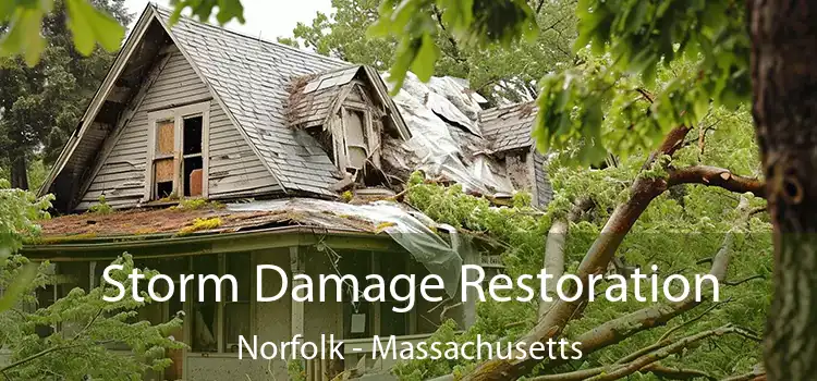 Storm Damage Restoration Norfolk - Massachusetts