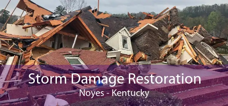 Storm Damage Restoration Noyes - Kentucky