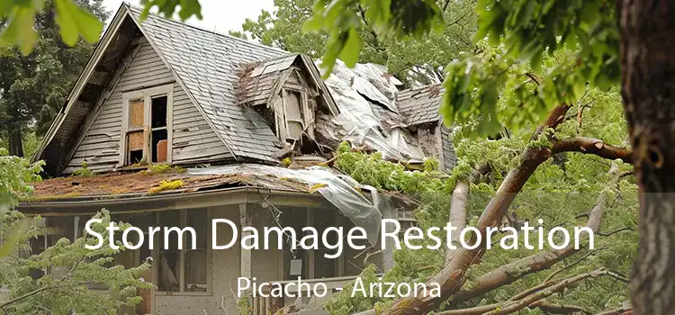 Storm Damage Restoration Picacho - Arizona