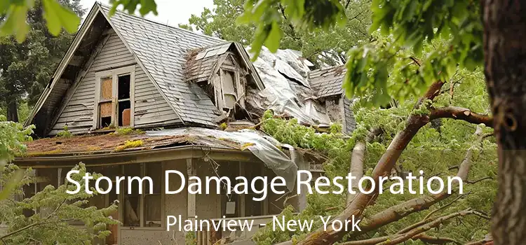 Storm Damage Restoration Plainview - New York