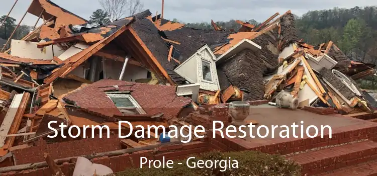 Storm Damage Restoration Prole - Georgia