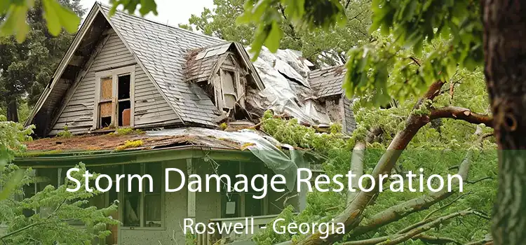 Storm Damage Restoration Roswell - Georgia