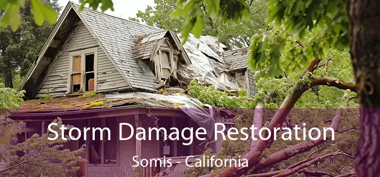 Storm Damage Restoration Somis - California