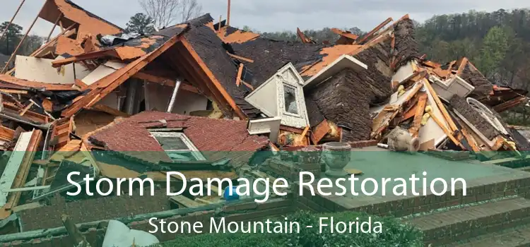 Storm Damage Restoration Stone Mountain - Florida