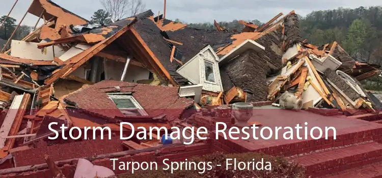 Storm Damage Restoration Tarpon Springs - Florida