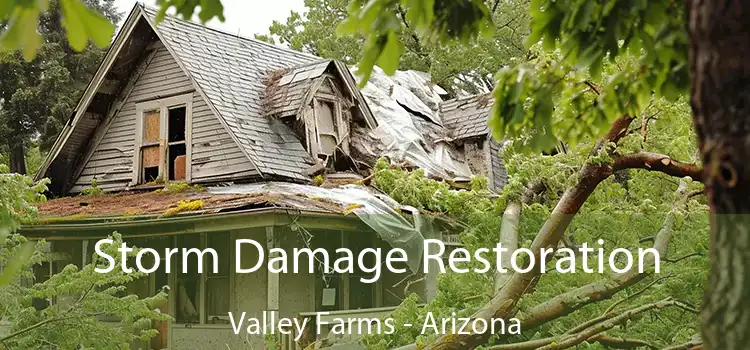 Storm Damage Restoration Valley Farms - Arizona