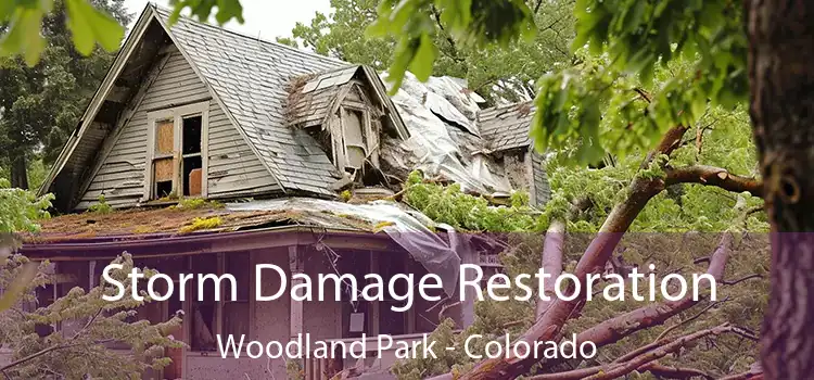 Storm Damage Restoration Woodland Park - Colorado