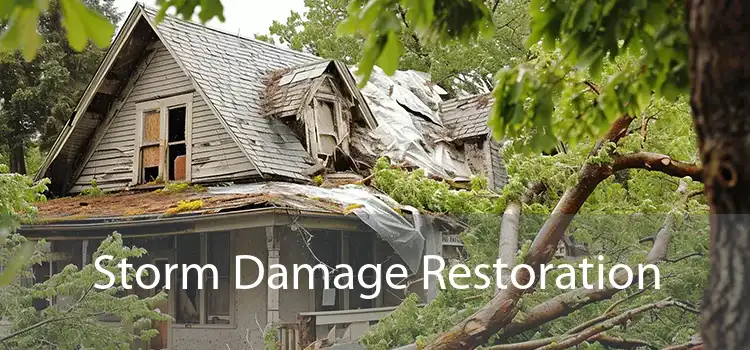 Storm Damage Restoration 