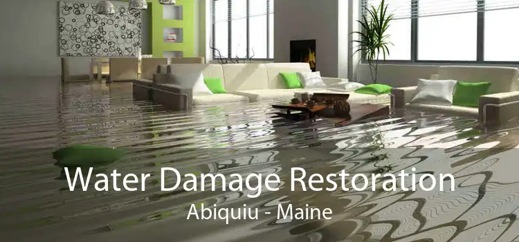 Water Damage Restoration Abiquiu - Maine