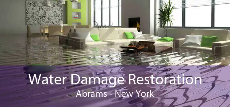 Water Damage Restoration Abrams - New York
