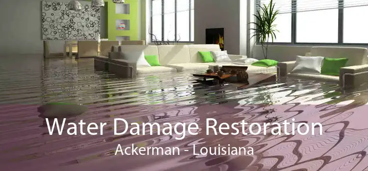 Water Damage Restoration Ackerman - Louisiana