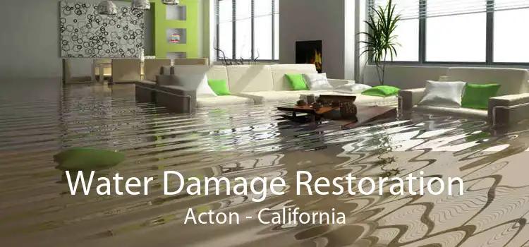 Water Damage Restoration Acton - California