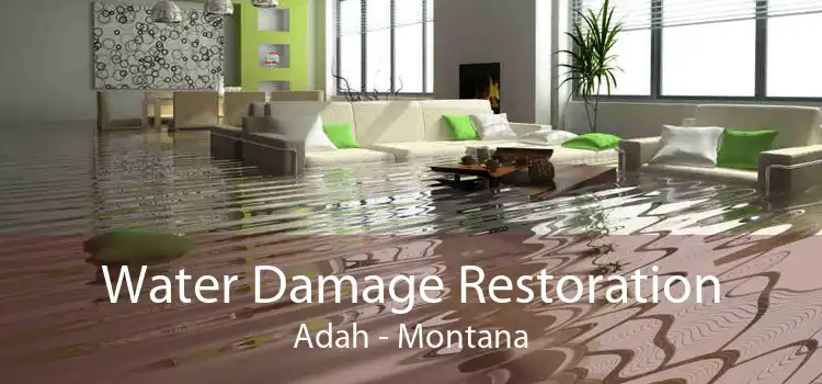 Water Damage Restoration Adah - Montana