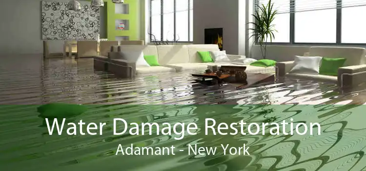 Water Damage Restoration Adamant - New York