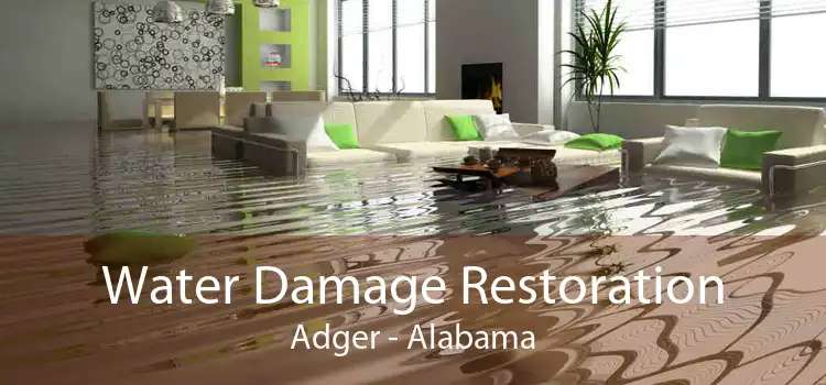 Water Damage Restoration Adger - Alabama