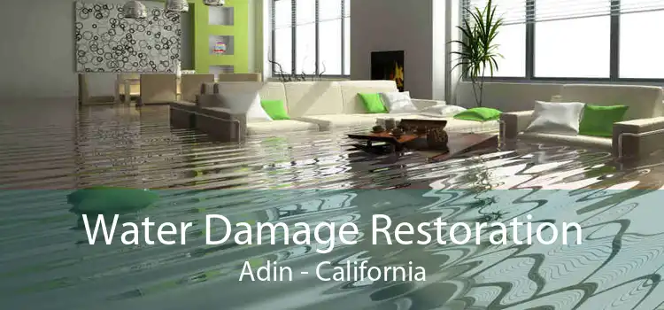 Water Damage Restoration Adin - California