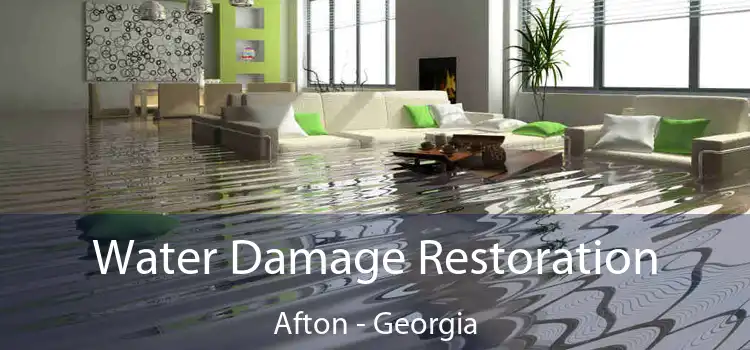 Water Damage Restoration Afton - Georgia