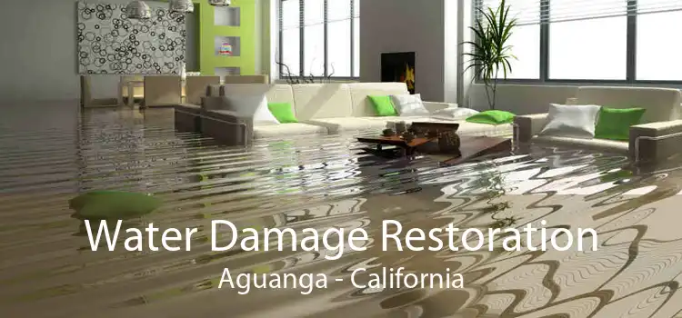 Water Damage Restoration Aguanga - California