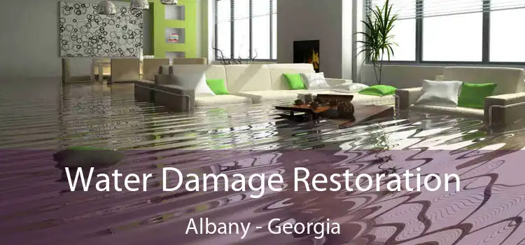 Water Damage Restoration Albany - Georgia