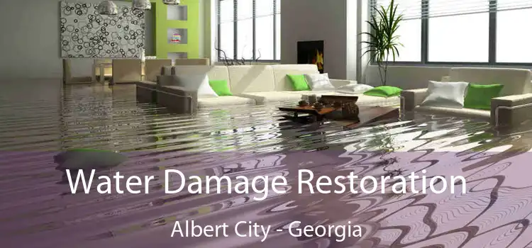 Water Damage Restoration Albert City - Georgia