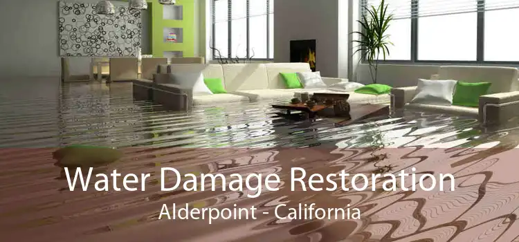 Water Damage Restoration Alderpoint - California