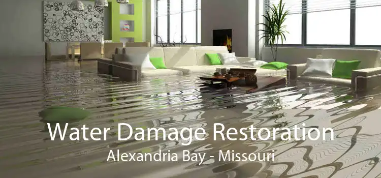 Water Damage Restoration Alexandria Bay - Missouri