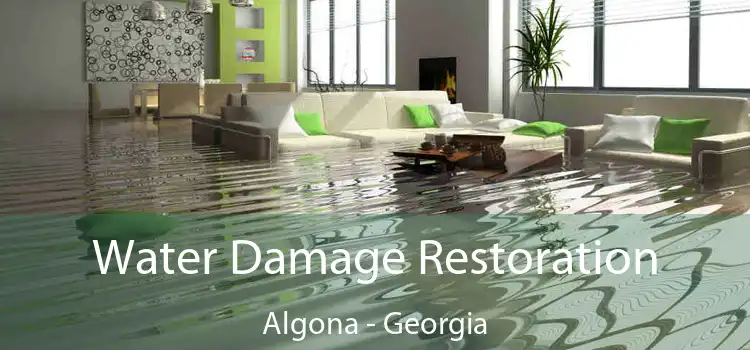 Water Damage Restoration Algona - Georgia