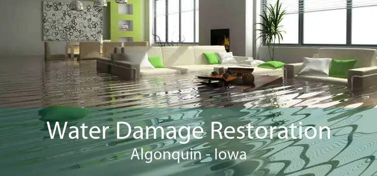 Water Damage Restoration Algonquin - Iowa