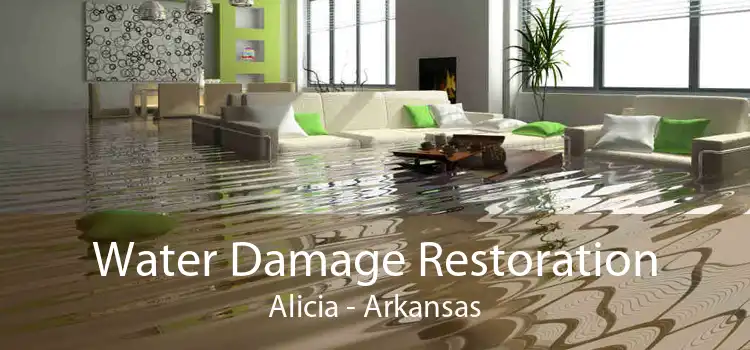Water Damage Restoration Alicia - Arkansas