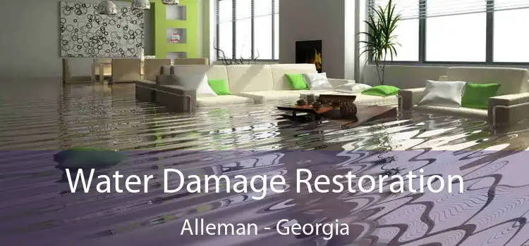 Water Damage Restoration Alleman - Georgia